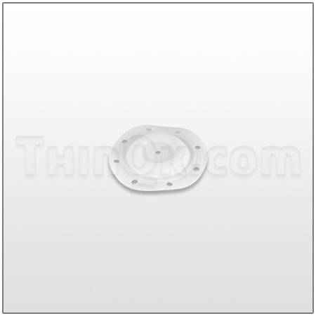 Diaphragm (T93111) PTFE