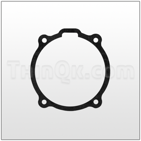 Gasket (T96531) SYN-SEAL