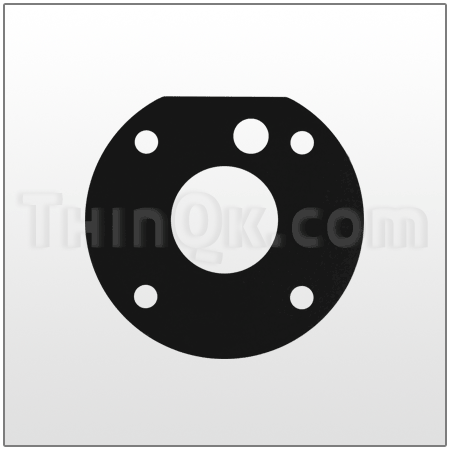 Gasket (T06-170) Neoprene