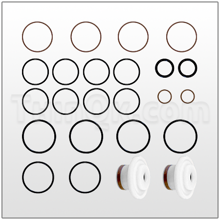 Air Valve Repair Kit (T111303-60)