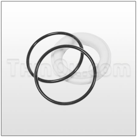 Seat/O-Ring (T250180760)  PTFE/FEP