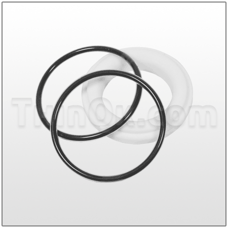 Seat/O-Ring (T400180760)  PTFE/FEP