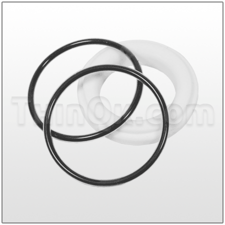 Seat/O-Ring (T500180760) PTFE/FEP