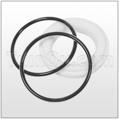 Seat/O-Ring (T800180760)  PTFE/FEP
