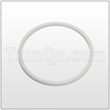 Seal (T7453) PTFE