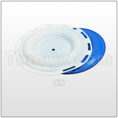 Diaphragm kit PTFE (T24K905)