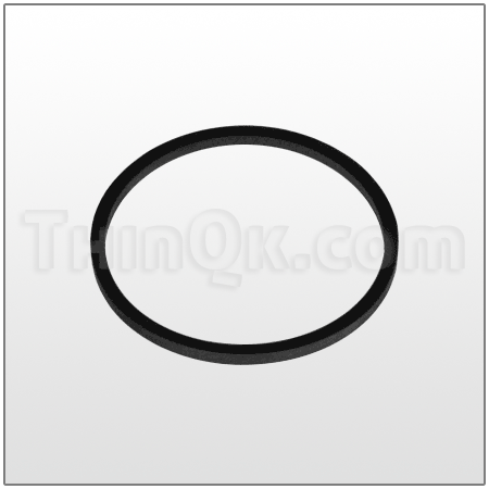Gasket (T115056) BUNA