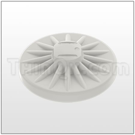 Piston (T189744) PVDF