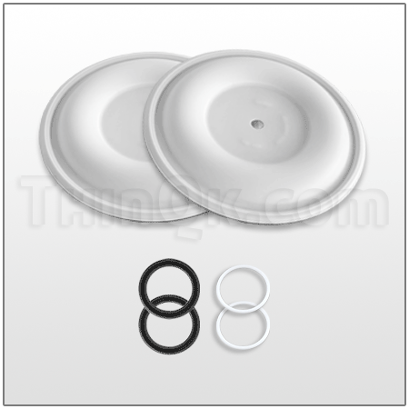 Repair kit (T25A298)