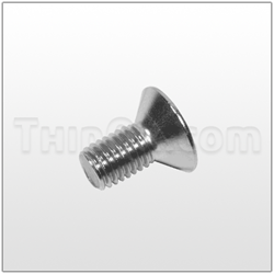 Flat socket head bolt (T900300491)CARB S