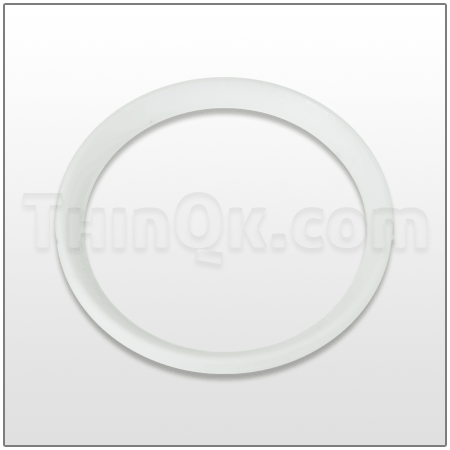 Seal (T720.051.600) PTFE