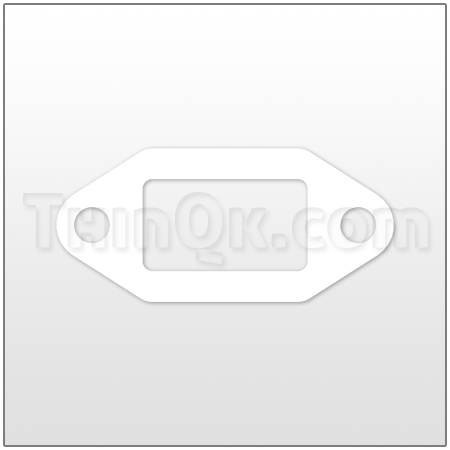 Gasket (T360.022.600) PTFE