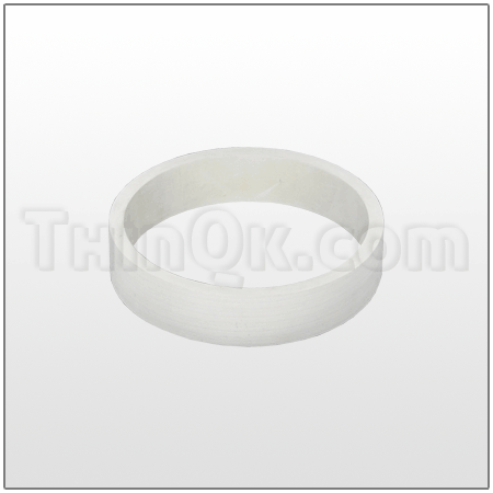 Gasket (T675.013.366)