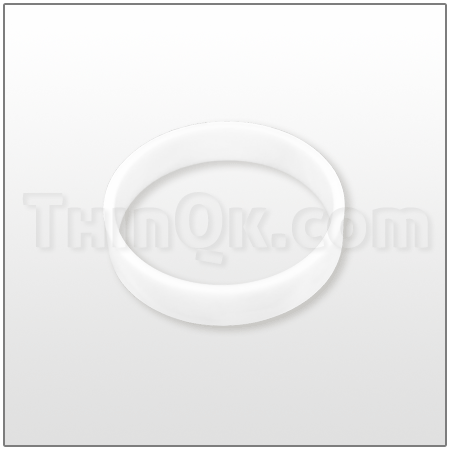 Gasket (T675.013.600) PTFE