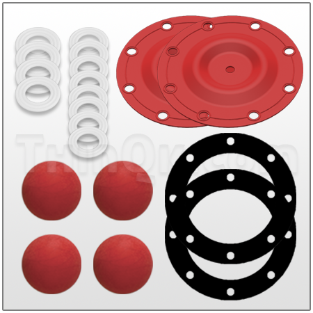 Repair kit (T476.166.354)