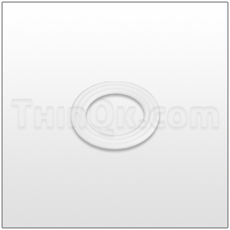 Seal (T720.046.600) PTFE