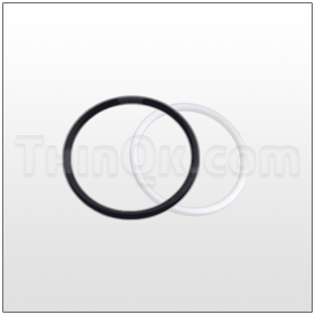 O-Ring Set (T6-200-18-172) FEP/VITON