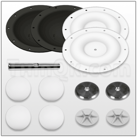Repair kit (TE2PA TF CV KIT)
