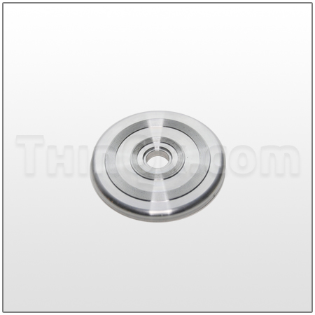 Center Disk (T707817)