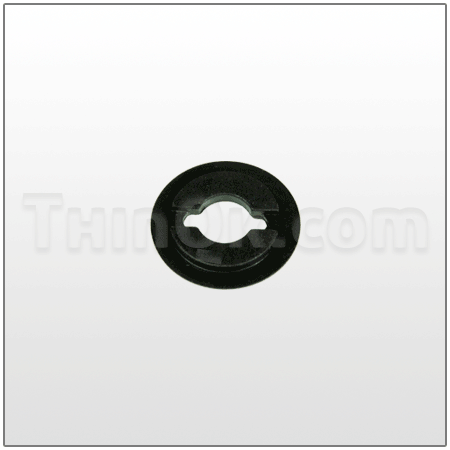 Cushion (T771483)