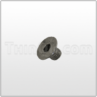 Flat socket head bolt (T900300391) SST
