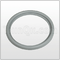 Seal (T920090541) BUNA