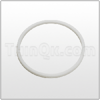 Seal (T7453) PTFE