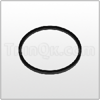 Gasket (T115056) BUNA