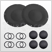 KIT LIQ (TTX220 ANN)