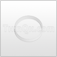 Seal (T6-200-36) POLYETHYLENE
