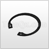 Circlip (T6-050-27) Steel