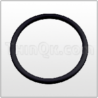 O-Ring (TP24-107) BUNA