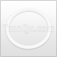 O-Ring (T643-036) PTFE