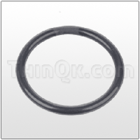 O-Ring (T683285) FEP/VITON